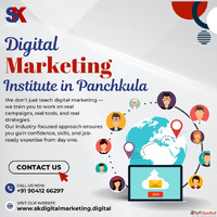 Best Digital Marketing Institute in Panchkula