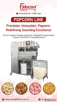 Advanced Popcorn Line for Uniform Popping Flavor Coating Hig...
