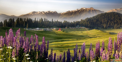 Srinagar Delights 4 Nights 5 days starting from 18000- Per Person