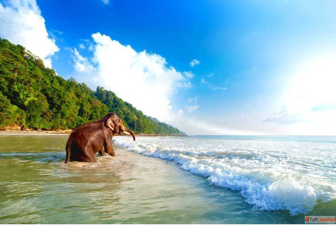 Andman Tour Package 2N Port Blair 2N Havelock 1N Neil Island starting from 42000-