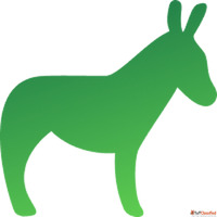 AI Educational Video Maker - Create Learning Videos in Minut...