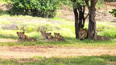 Amazing Gujarat 5 Nights 6 Days 23000-