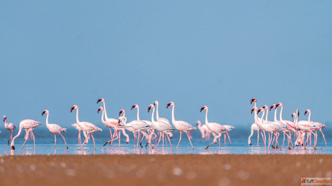 Amazing Gujarat 5 Nights 6 Days 23000-