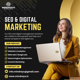 SEO Company for Local Business in Delhi