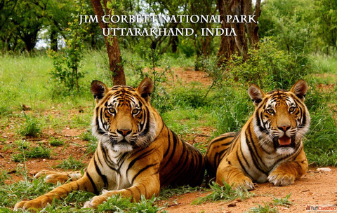 Corbett National Park Package 2 Nights 3 Days INR 6900-