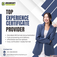 Experience Certificates Provider in Punjab