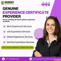 Experience Certificate Provider in Punjab