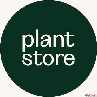 Rare Fragrant Lotus Tubers for Your Water Garden