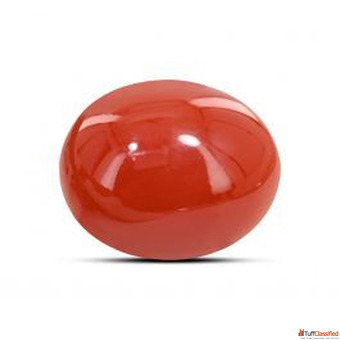 Buy Red Coral Stone Rashi Ratan Bhagya