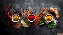 Thousands of top-quality organic sustainable products