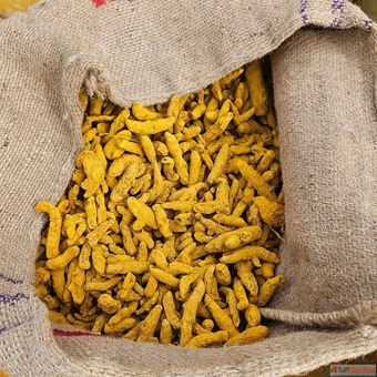Best Turmeric Powder Wholesaler in Navi Mumbai