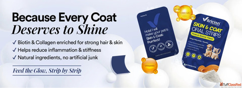 Best Skin and Coat Supplements for Dogs for Healthy Fur