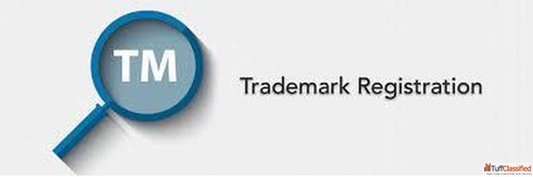 Why Every Growing Business Needs Trademark Protection