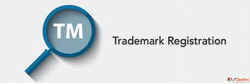 Why Every Growing Business Needs Trademark Protection