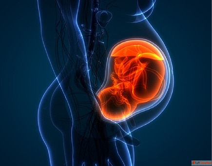 Best Gynaecologist in Ahmedabad Gynaecologist in Ahmedabad