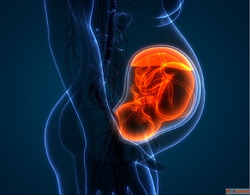 Best Gynaecologist in Ahmedabad Gynaecologist in Ahmedabad