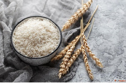 Basmati Rice Suppliers in Rajasthan