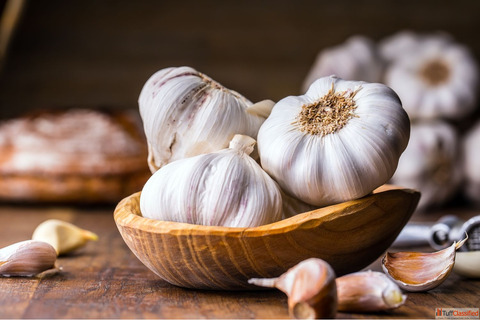 Garlic Suppliers in Ahmedabad