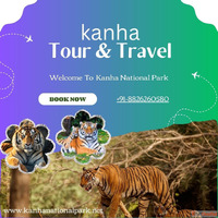 Bandhavgarh Safari Booking Complete Guide for an Unforgettab...