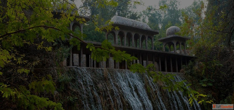 Best SEO Company in Chandigarh 88gravity