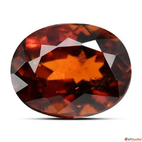 Gomed Stone Price Rashi Ratan Bhagya