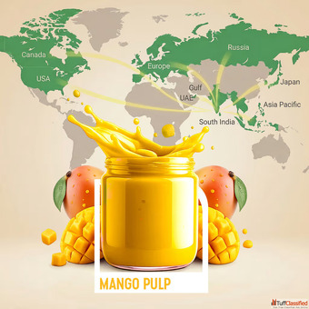 Premium Quality Mango Pulp and Fruit Pulp Export from India