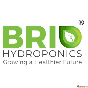 Vertical Farming in Gujarat Advanced Hydroponic Solutions by Brio Hydroponics