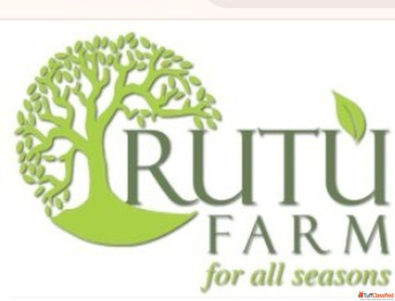 Best Resort Near Wai Panchgani for Family Weekend Getaway