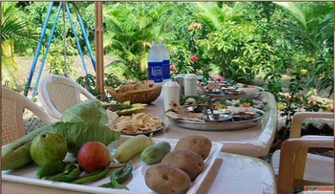 Authentic Maharashtrian Food at Resort Near Wai