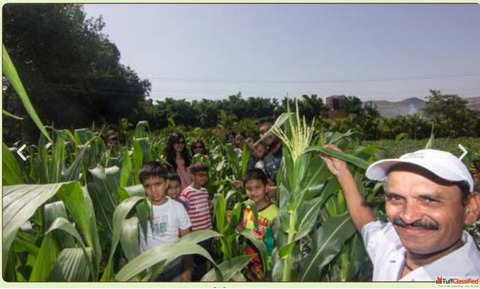 Fun Activities and Places to Visit Near Wai Panchgani