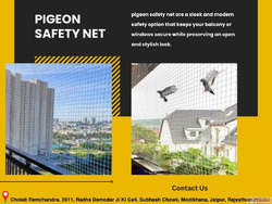 Pigeon Safety Net Installation for Balcony and Window Safety