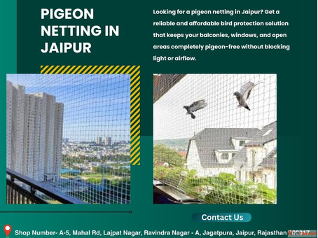 Professional Pigeon Netting in Jaipur Installation Service