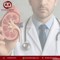 Kidney Stone Treatment in Mumbai - Personalized Care by Dr. ...