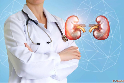Kidney Failure Treatment in Homeopathy Symptoms Causes and Natural Care