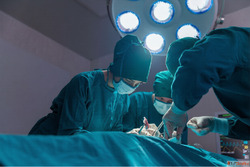 Neurologist in Kalyan Expert Care for Brain and Nervous Syst...