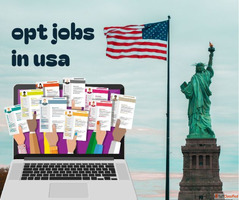Find the Best OPT Jobs in the USA with OptNation