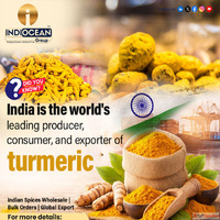 Turmeric Powder Bulk Supplier from India