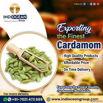 Green Cardamom Wholesale Exporter India