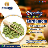 Green Cardamom Wholesale Exporter India