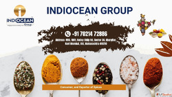 Premium Indian Spices Bulk Supplier