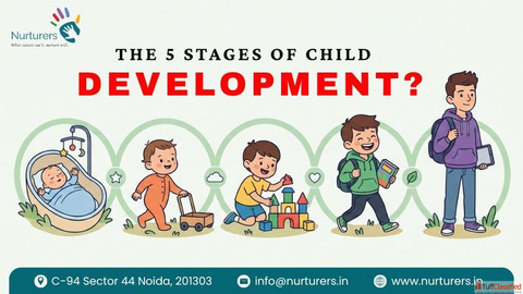 What Are the 5 Stages And Milestone of Child Development