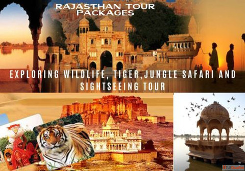 Wildlife and Jungle Safari in Rajasthan - Rajasthan Tiger Tour Packages