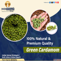 Green Cardamom Bulk Supplier