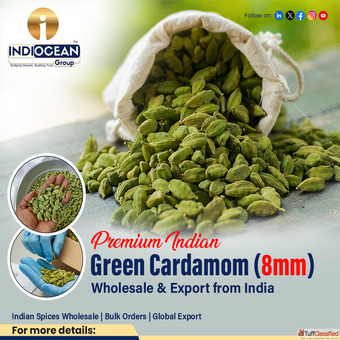 Premium Green Cardamom Wholesale