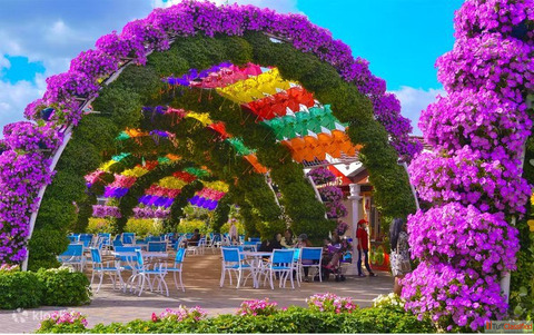 Explore Dubai Miracle Garden Complete Visitor Travel Guide