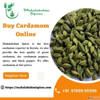 Buy Cardamom Online at best prices Mahalakshmi spices