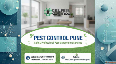 Pest Control Pune Safe Professional Pest Management Services