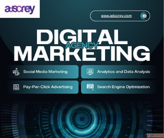 Best Digital Marketing Agency In India For Any Brands And Bu...