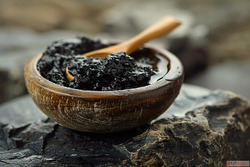 Top Shilajit Resin Manufacturers in India for Pure Himalayan...