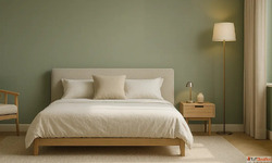 Top Interior Wall Shades for Modern Interior - Indicus Paint...